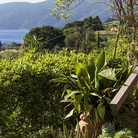 Monserrato - Goelba Dom wakacyjny Porto Azzurro